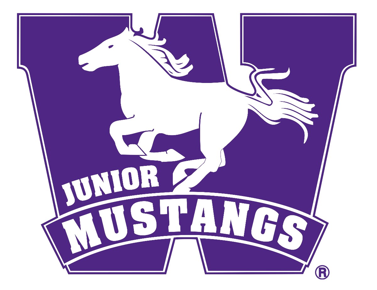 Junior_Mustang-1.jpg